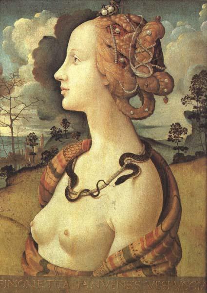 Piero di Cosimo Simonetta Vespucci (mk45) Germany oil painting art